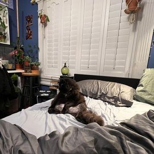 Meet your Posher, Andrew